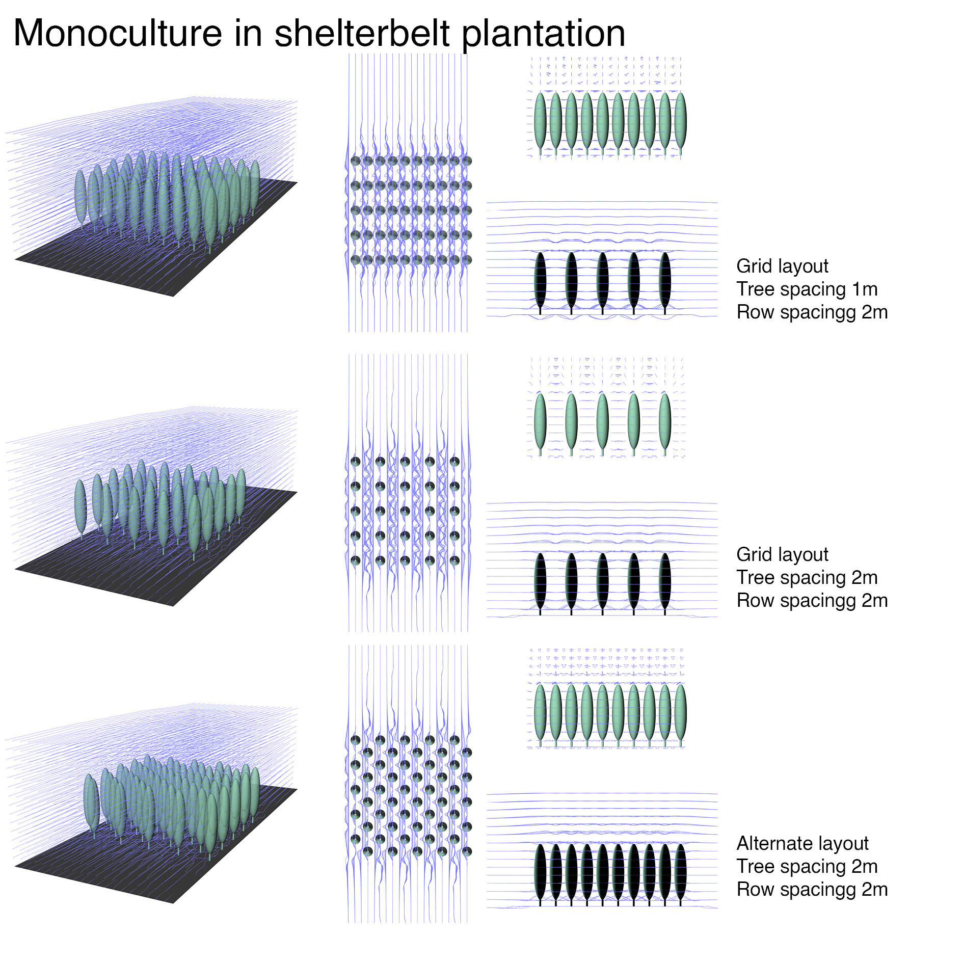 Debate on the 'Green': Shelterbelt Plantation-19