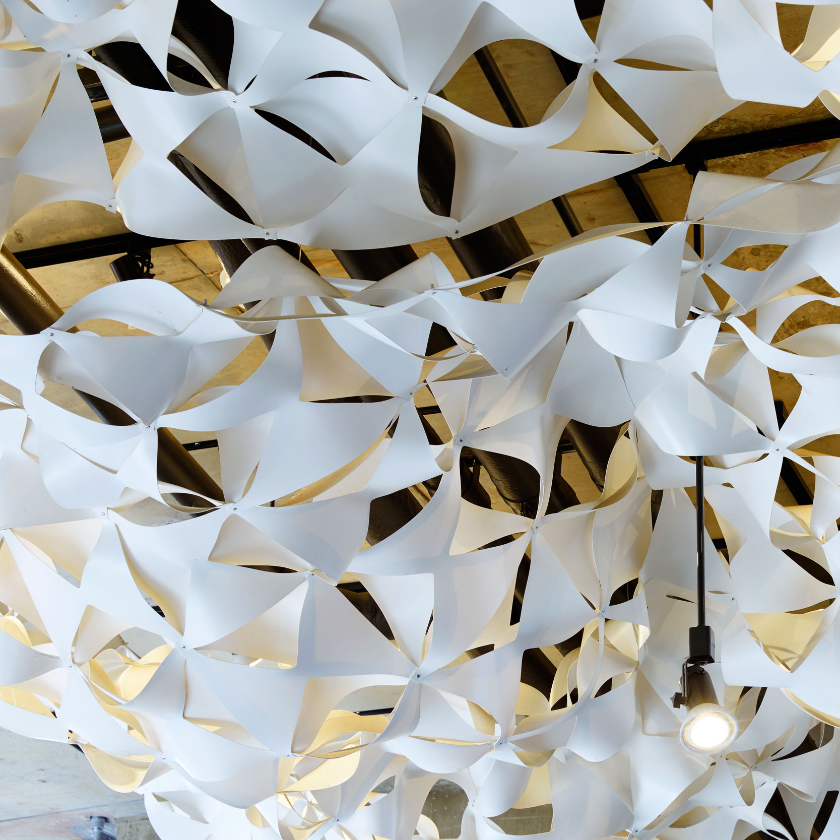 丨美国加利福尼亚丨Fletcher Studio-34