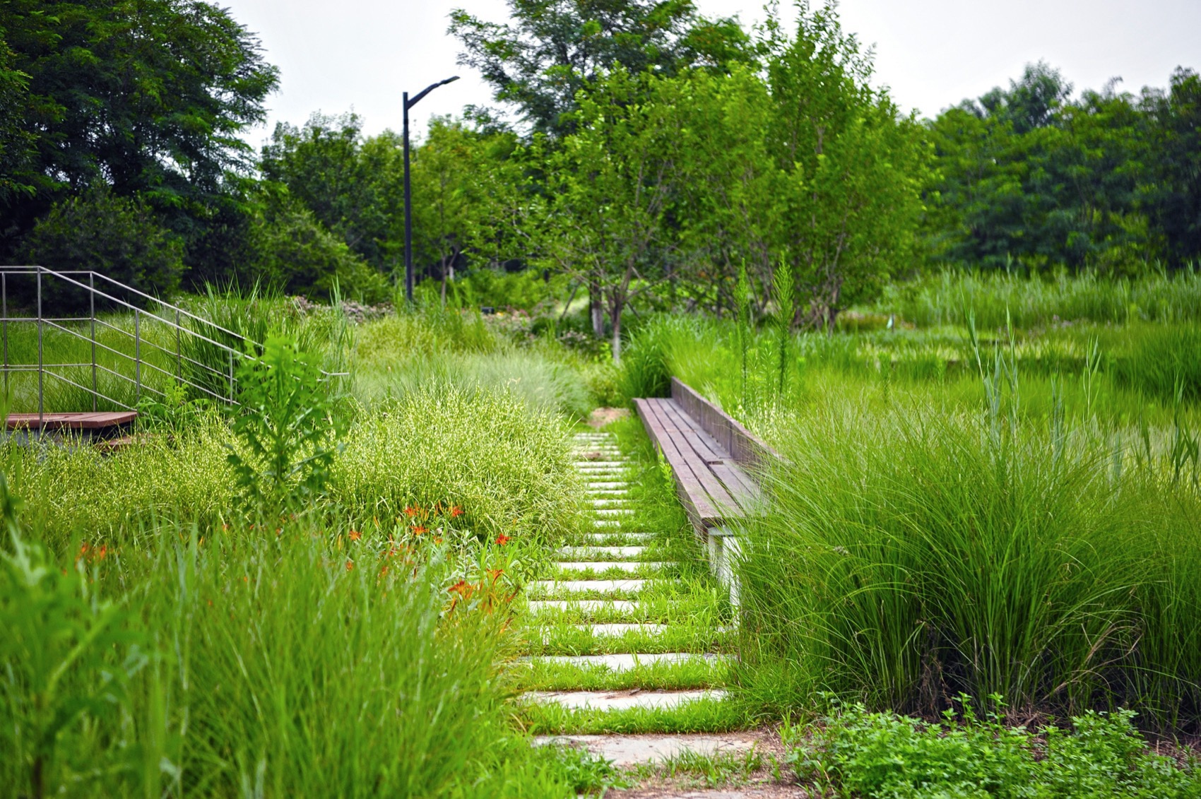 饮鹿池公园丨中国北京丨北京林业大学风景园林规划设计研究院+山水和泓+原筑景观-43