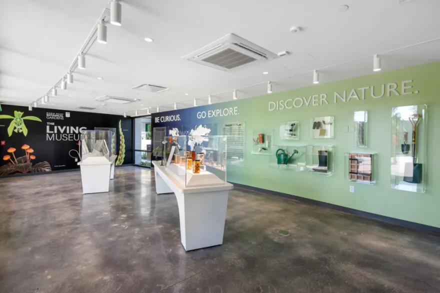 佛罗里达节能植物园丨美国丨美国Olin和Overland建筑工作室-16