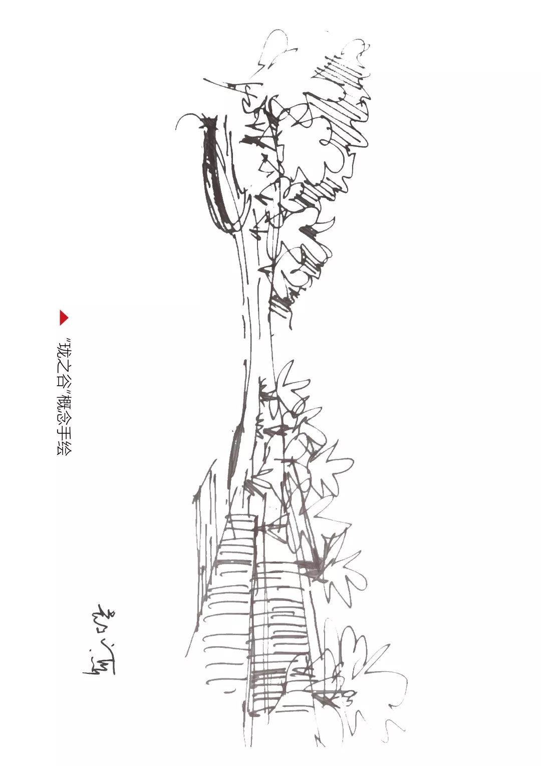 自然的魅力与艺术 | 广州龙湖 · 双珑原著-16