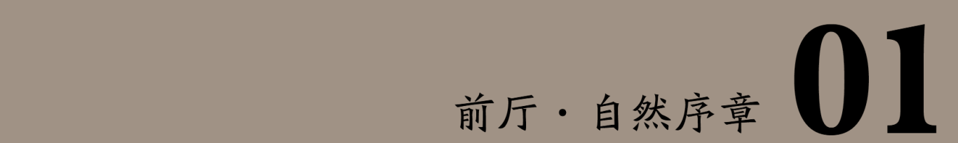 木的史诗:整木互交美学生态馆丨班蓝空间设计事务所-5