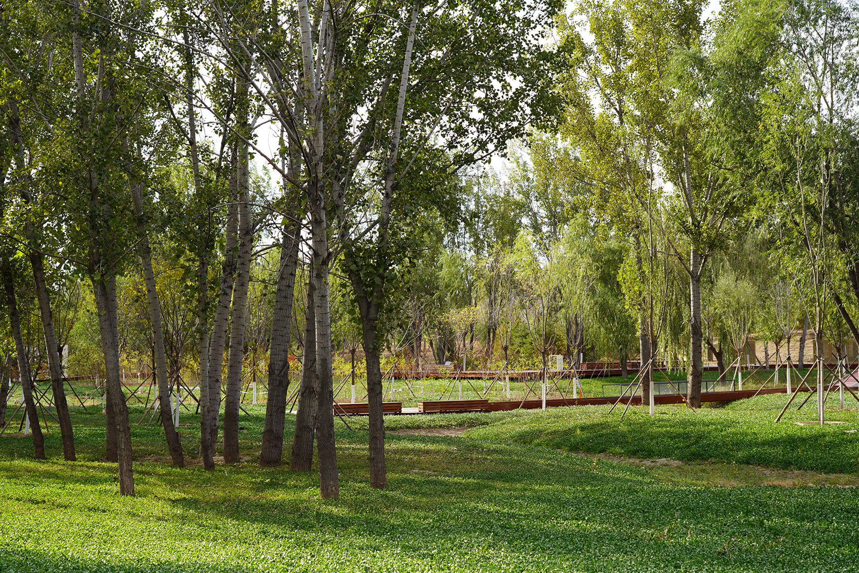 奥北森林公园二期景观及景观建筑系列丨中国北京丨北京北林地景园林规划设计院有限责任公司,北林风景建筑研究中心-177