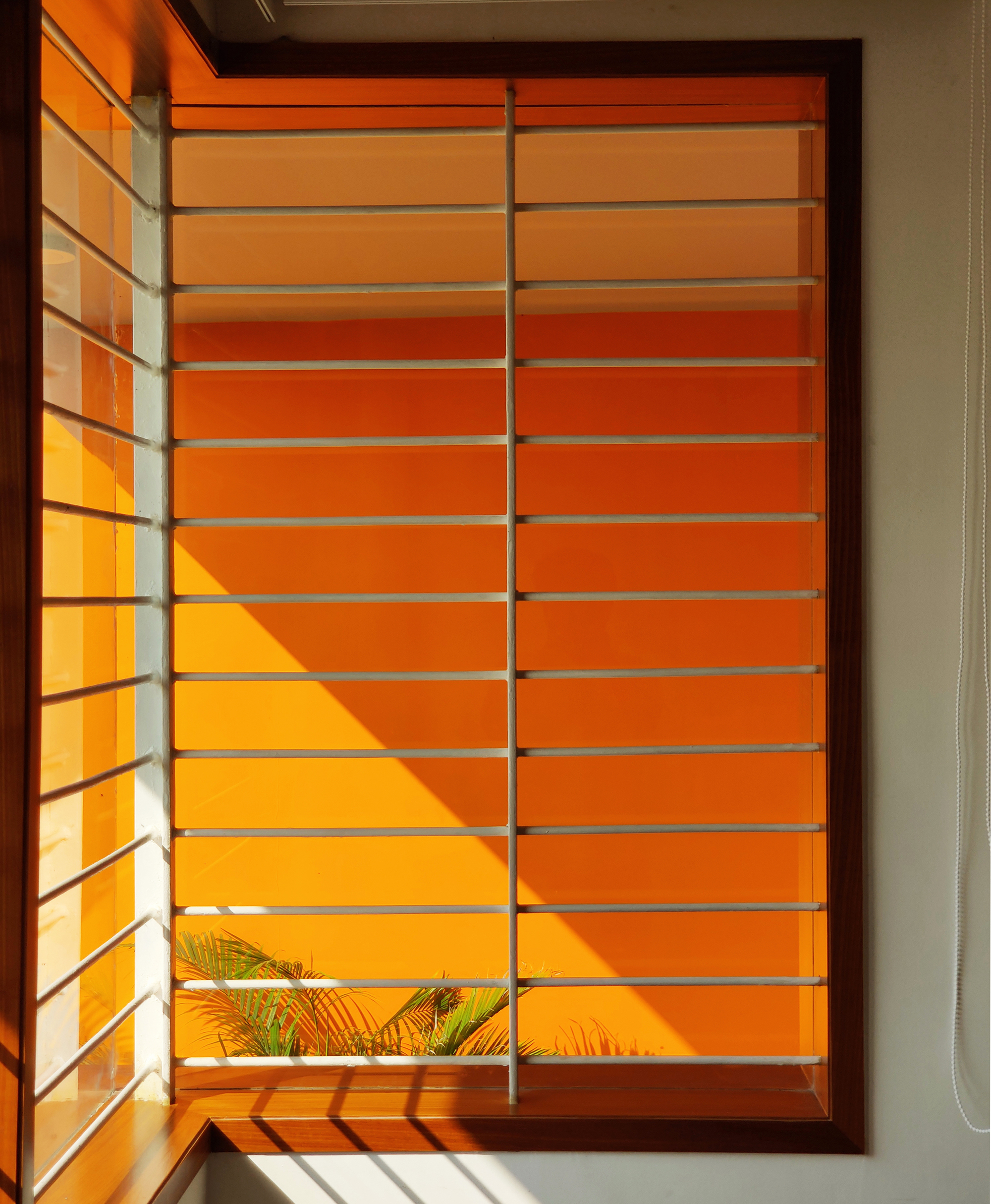 Orange House / Studio Habitect-34