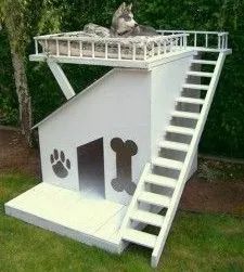 庭院宠物之家 | 打造宠物宜居的户外空间-41