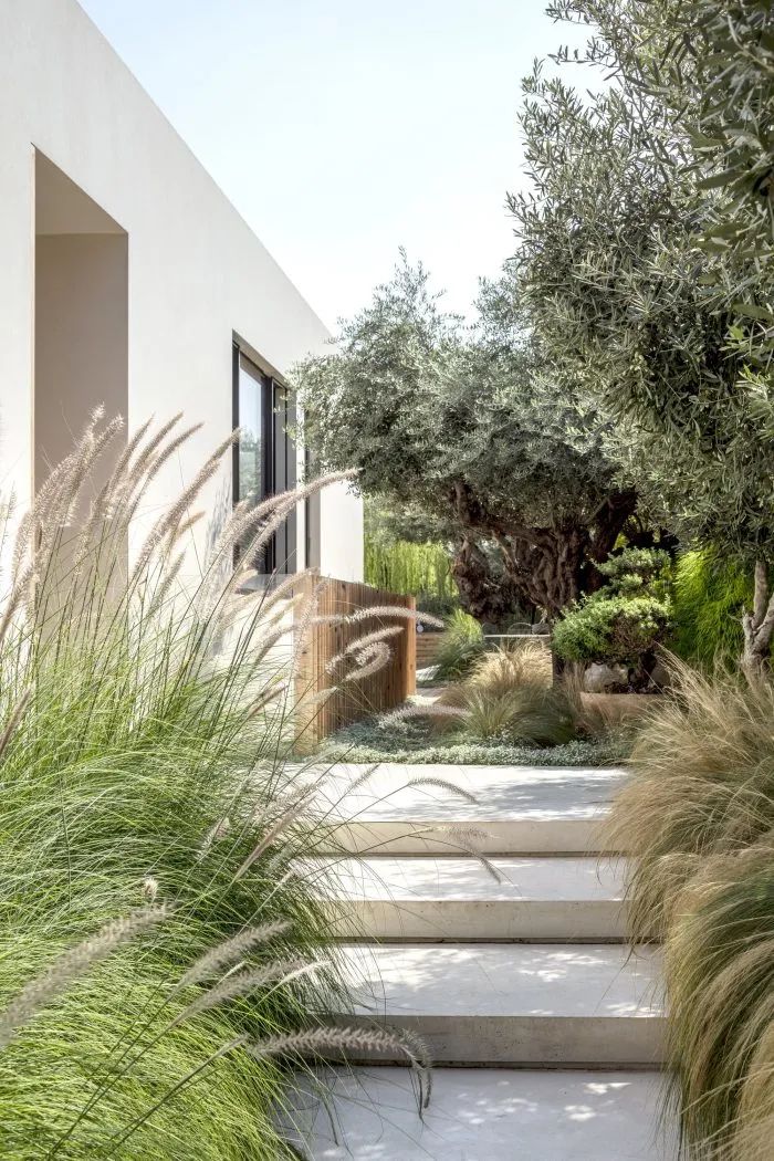 以色列 SDT 之家丨Ronnie Alroy Architects-21