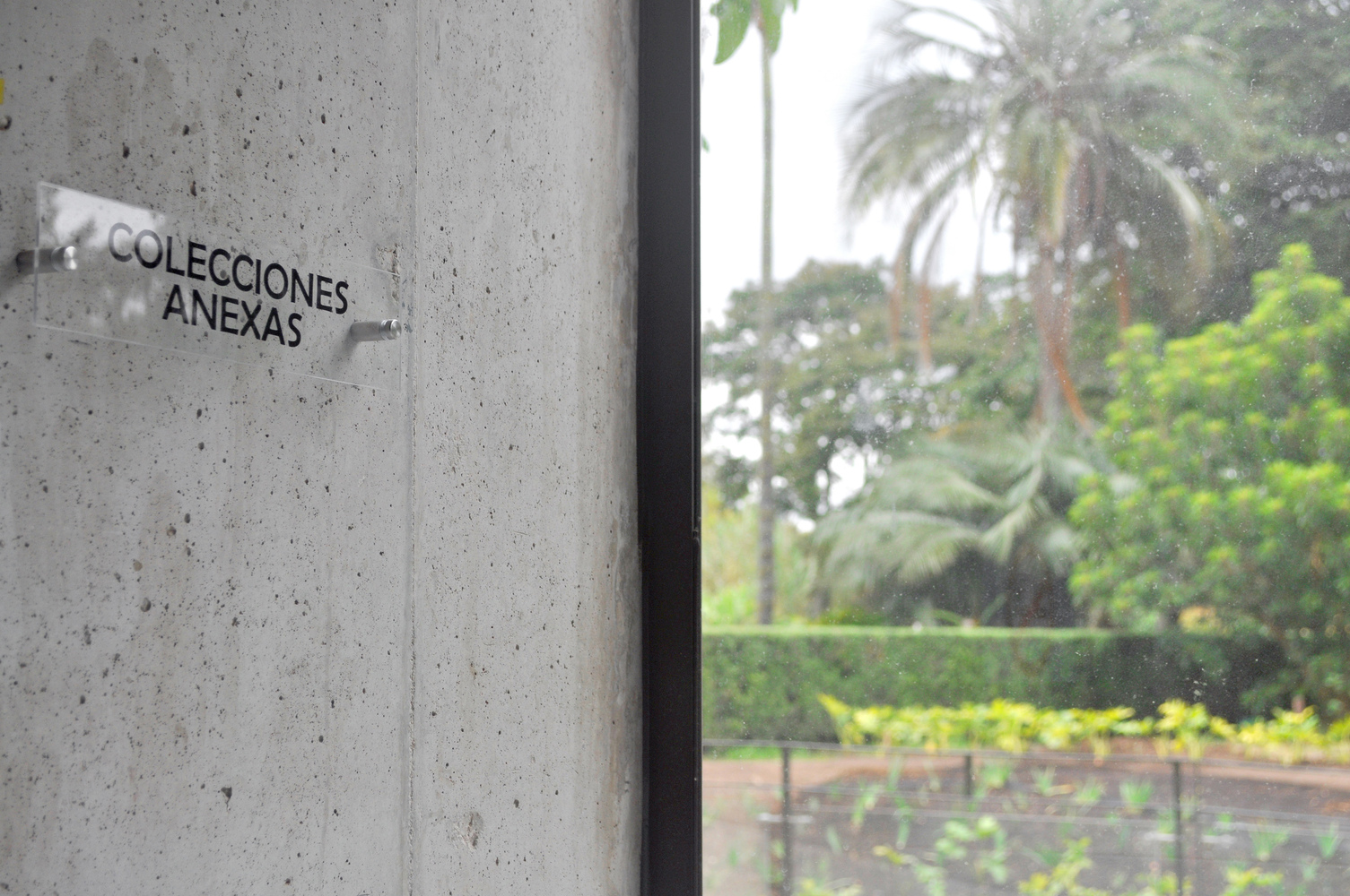 波哥大植物园植物标本馆-47