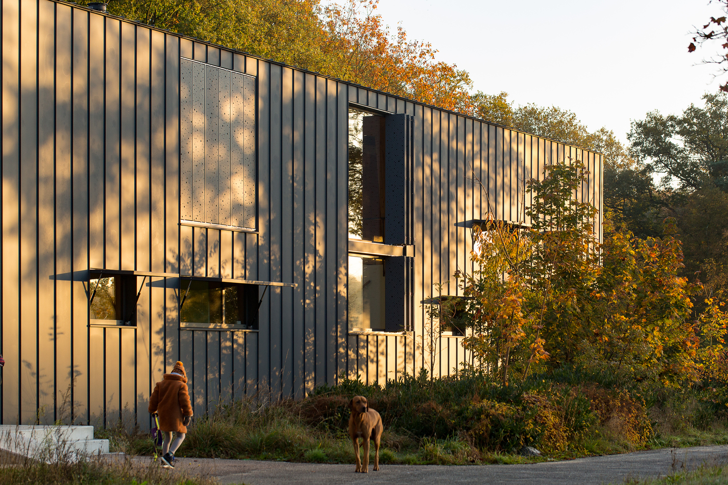 荷兰L形住宅改造-13