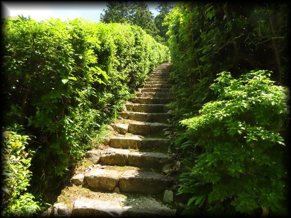 修学院离宫上离宫,隣雲亭与浴龍池-52