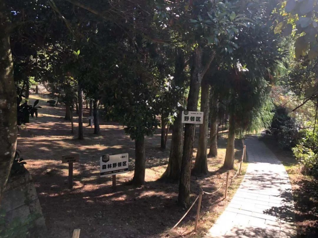 自然人文共生,柱里空间新解-15