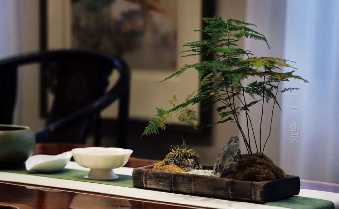 “泊云止水”国际新中实景案例-11