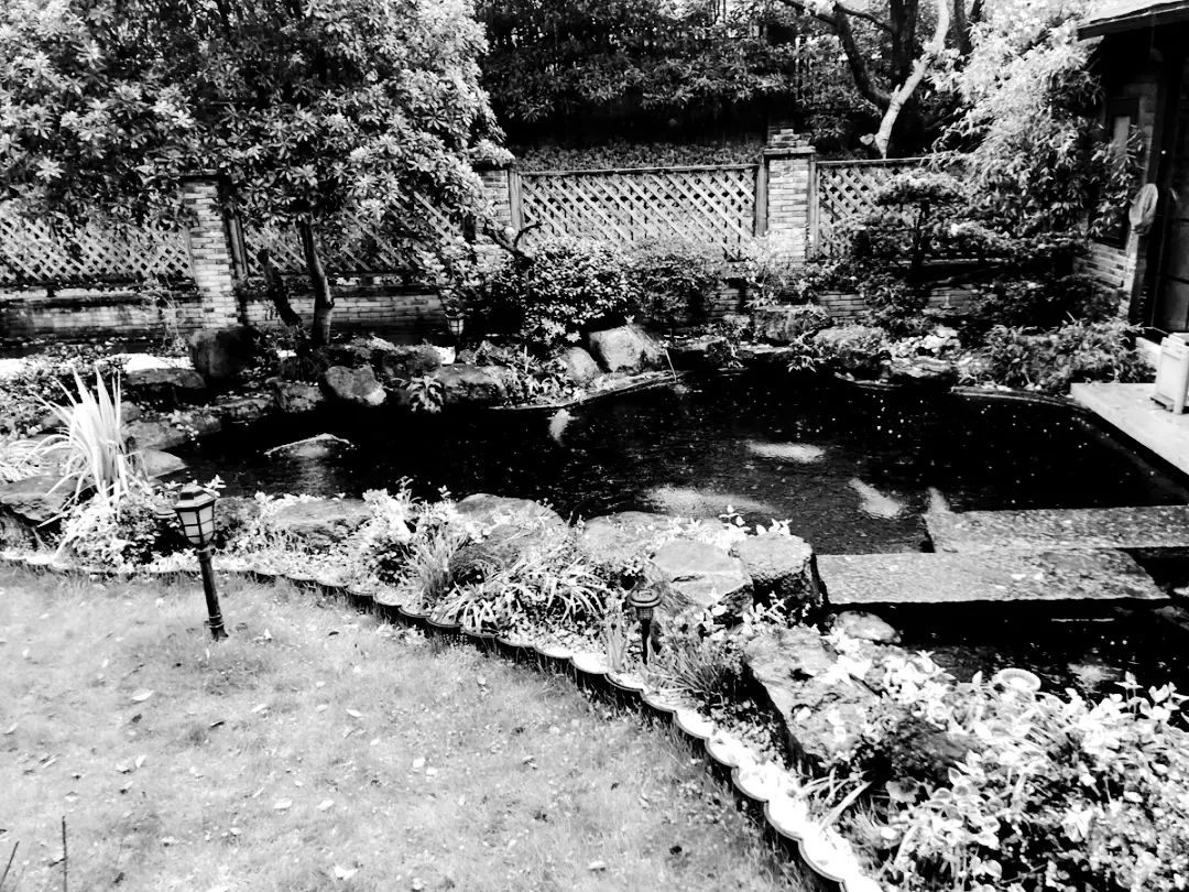 富春山居日式花园改造 自然与传统完美融合-9