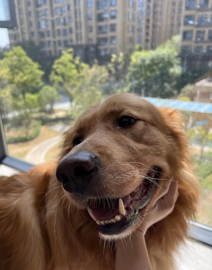 128平自然风设计-45