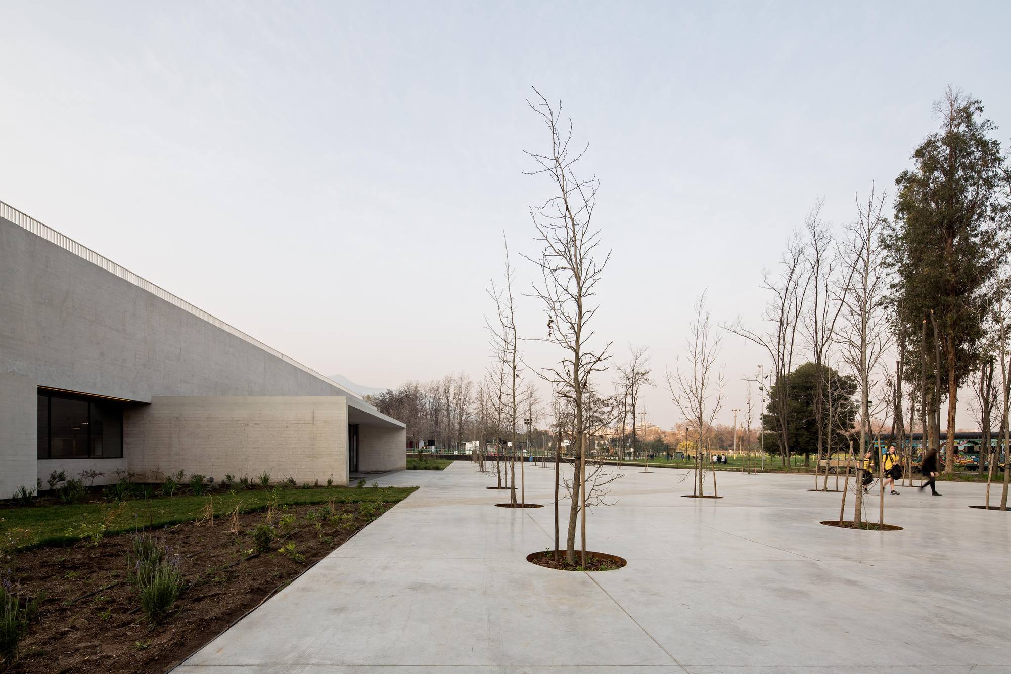 智利森林中的圣乔治学院体育馆-20