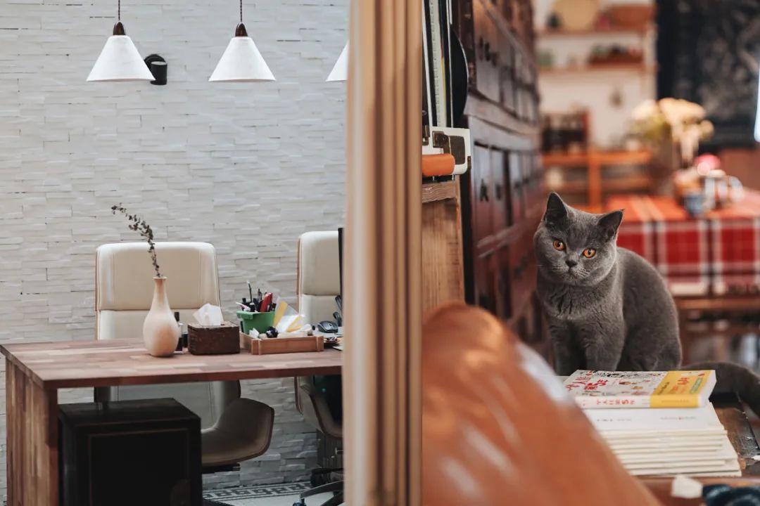 长物庄 | 女性共享公寓的温暖日常-201