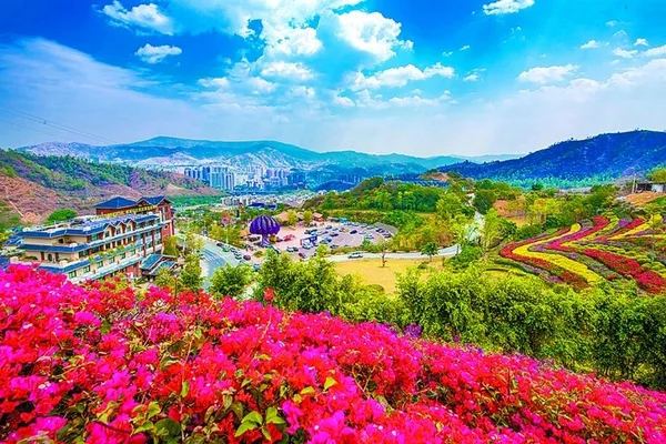 攀枝花普达阳光国际康养度假区丨中国攀枝花-14