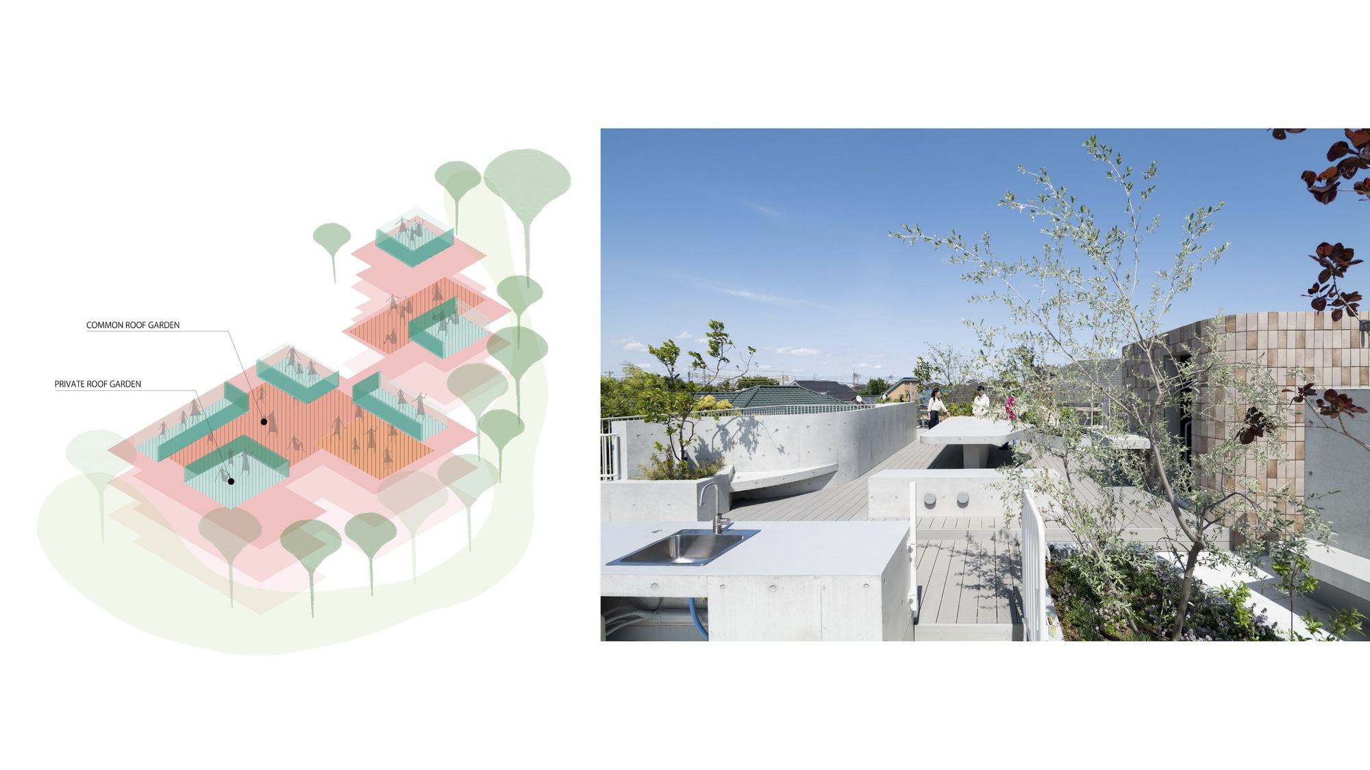 CHIDORI TERRACE 合作住宅综合体丨日本-50