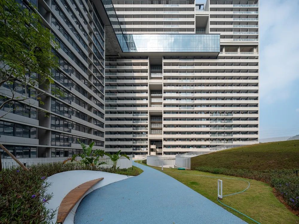 深圳光明科学城启动区项目丨中国深圳丨同济设计TJAD-15