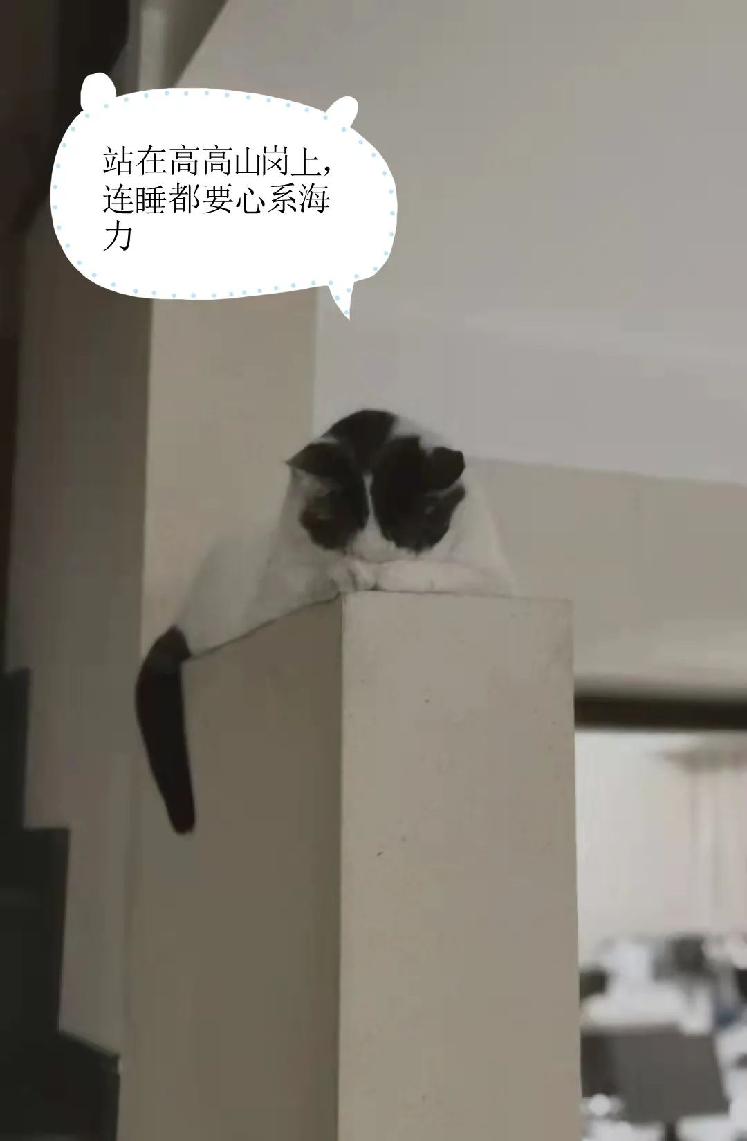 海力设计公司丨中国重庆-50