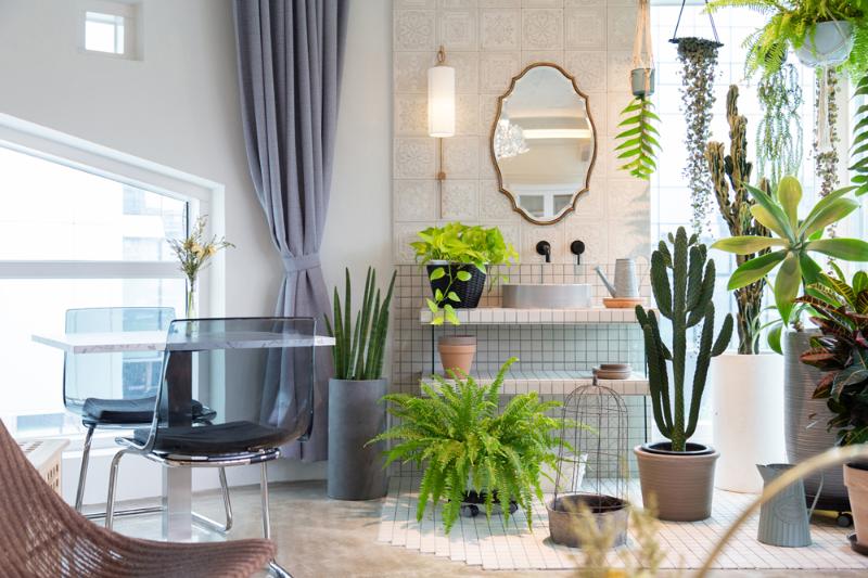 25 平米植物工作室，自然风格与咖啡香的完美融合-4