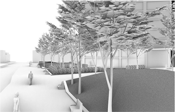 组装苹果项目丨哥伦比亚-21