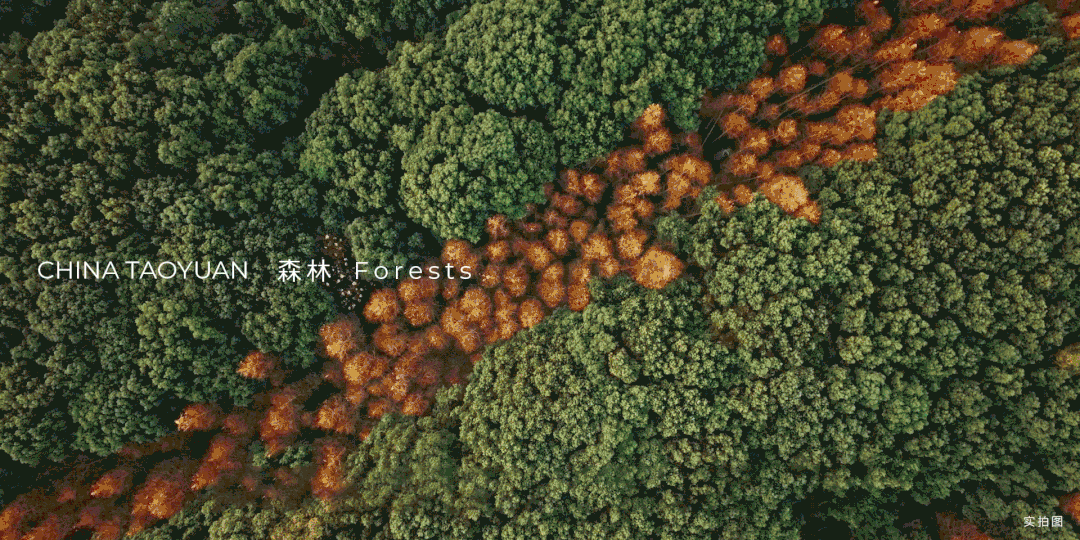 现在就出发!拥抱自由,奔赴理想的度假生活-7