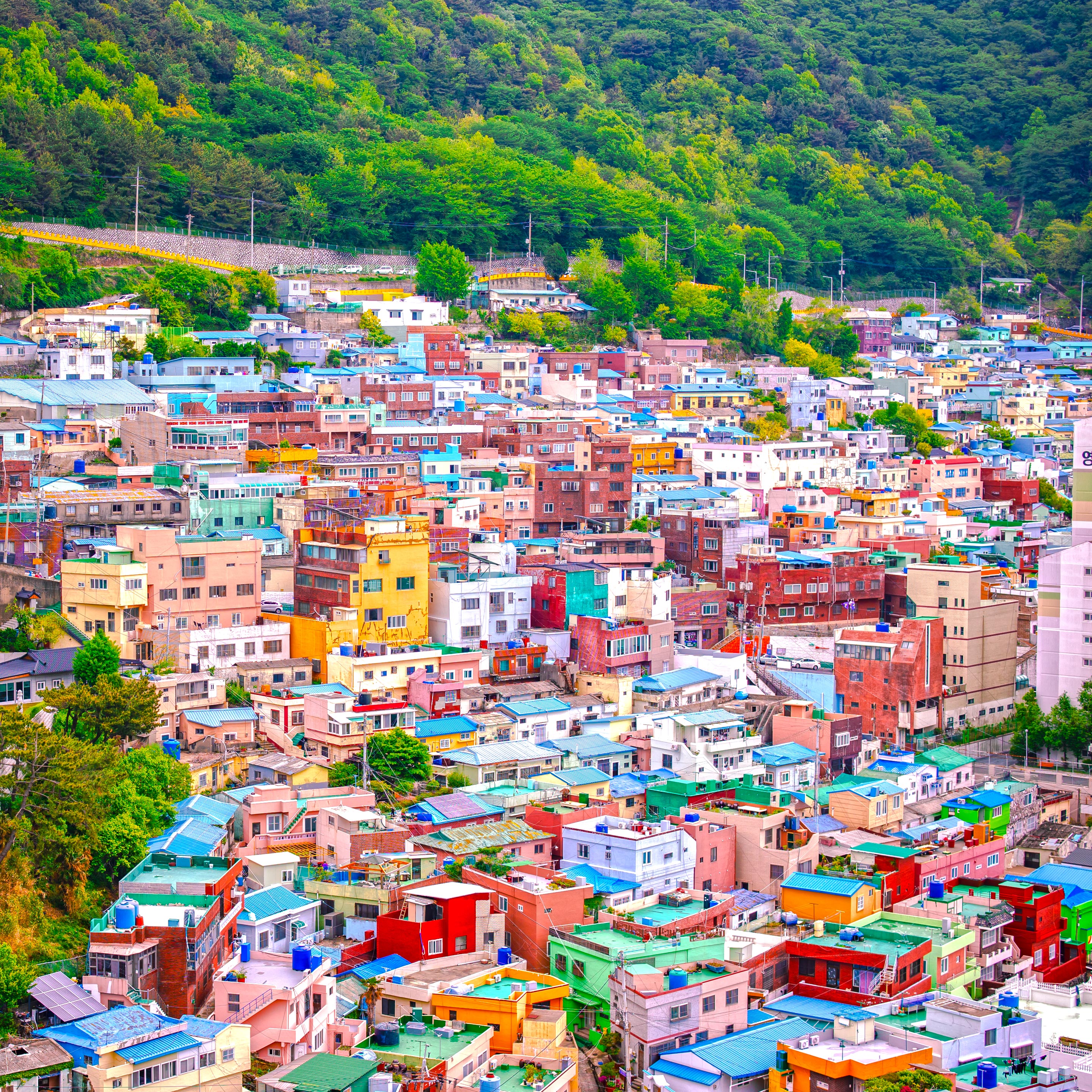 釜山甘川文化村丨当地艺术家和村民-8