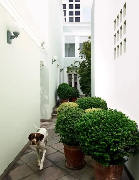 秘鲁庄园丨秘鲁利马丨Carlos Mota（主）& Stefany Rothlein（辅）-11