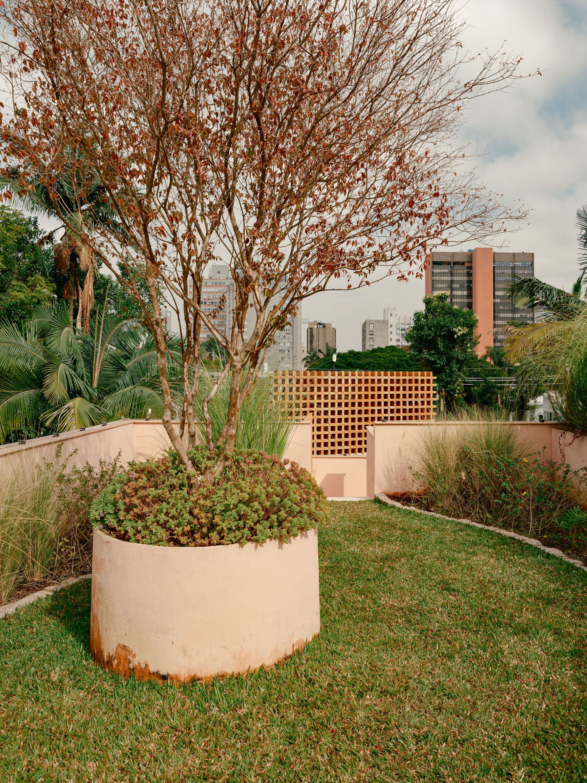 丨巴西圣保罗丨Felipe Hess Arquitetos-38