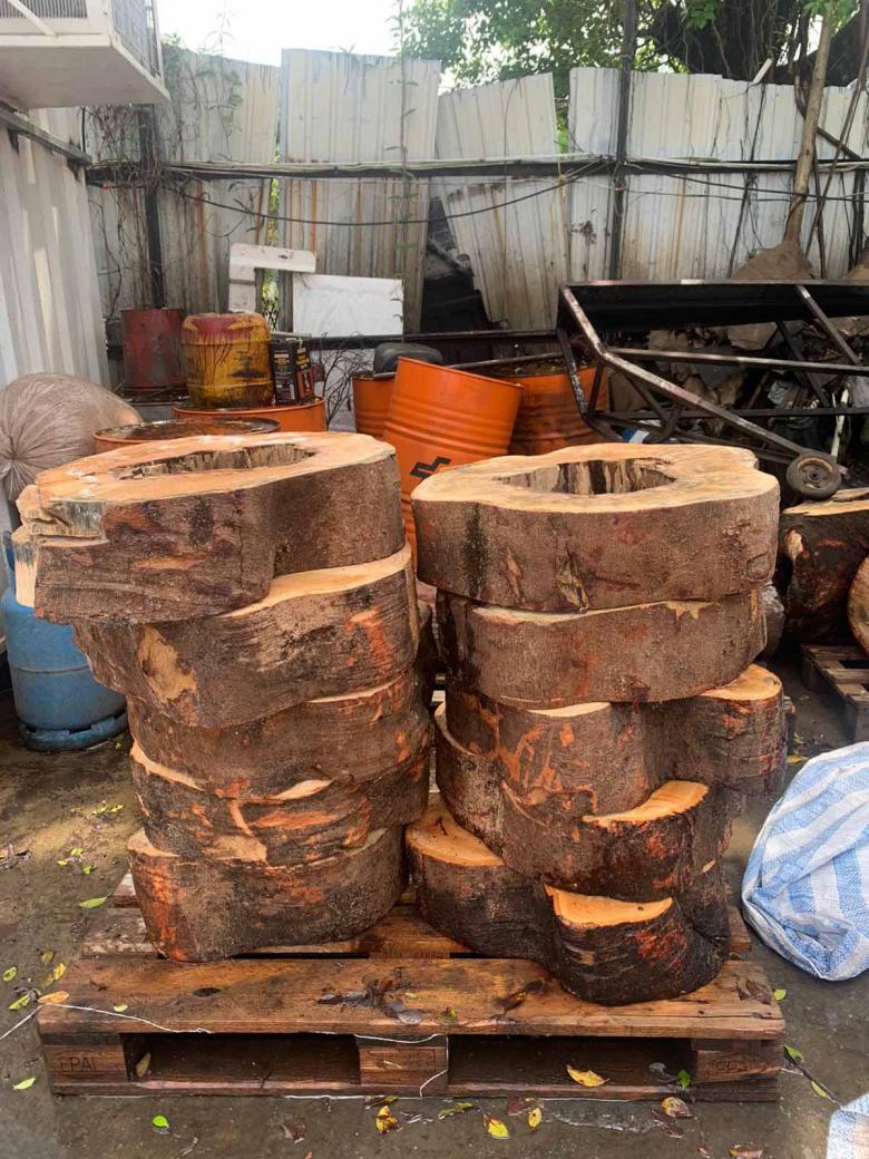 COLLECTIVE丨PENICILLIN丨中国-24