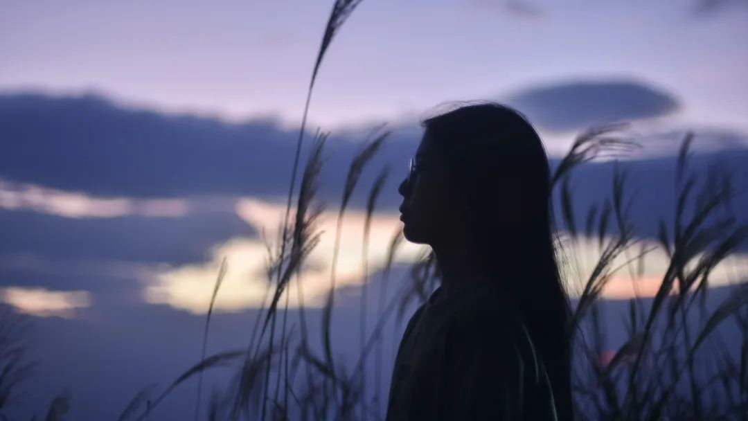 力高设计17周年庆活动丨LICO力高设计-29