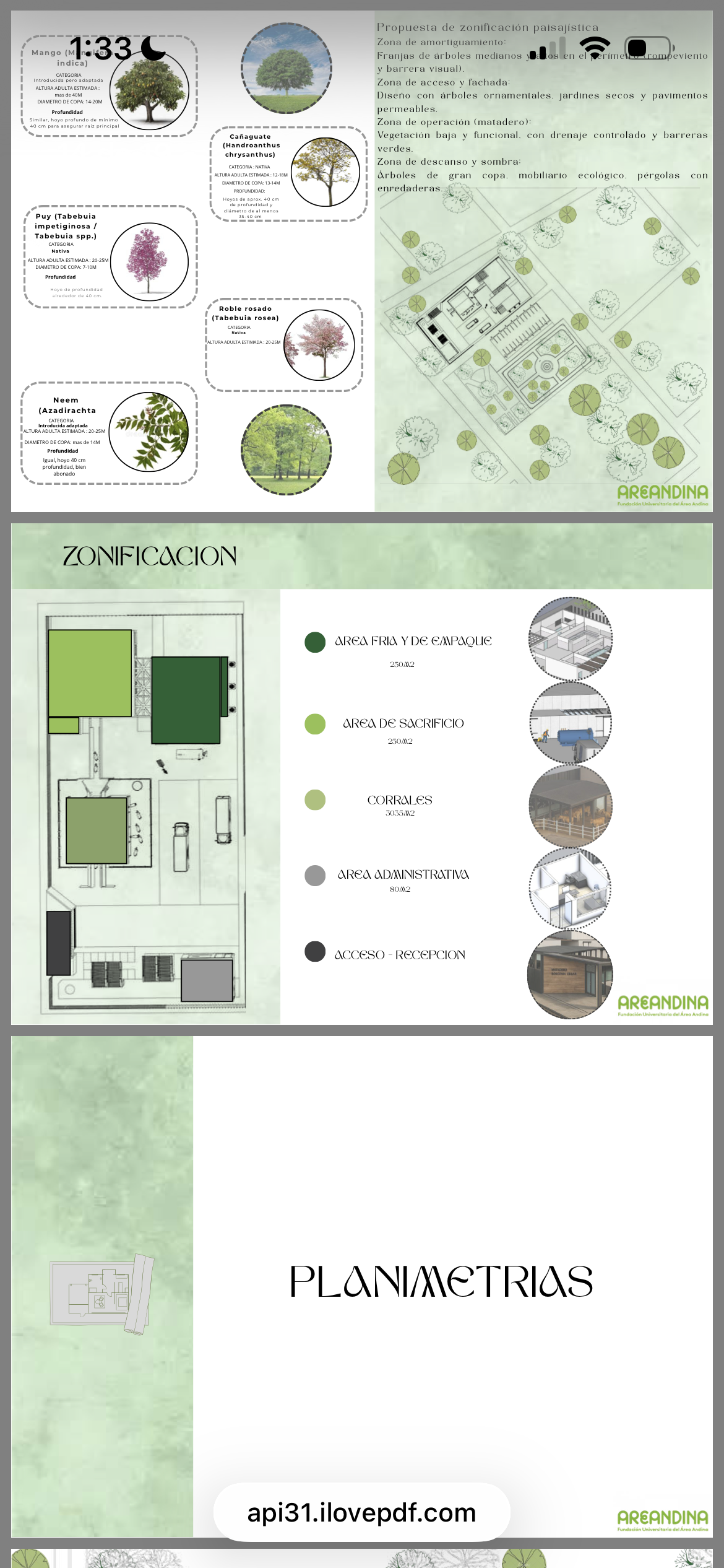 Proyecto centro agropecuarios de beneficio cárnico-4
