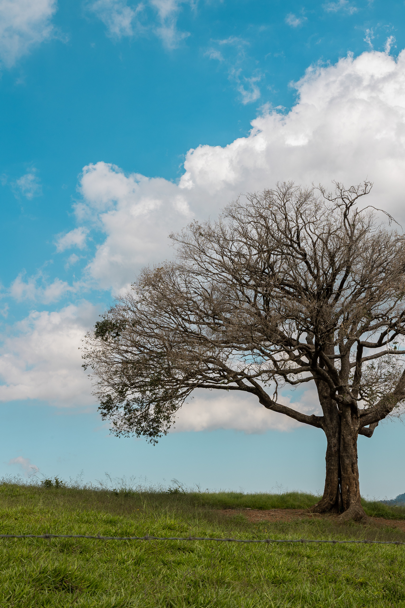 教堂建筑丨Oscar Niemeyer-11
