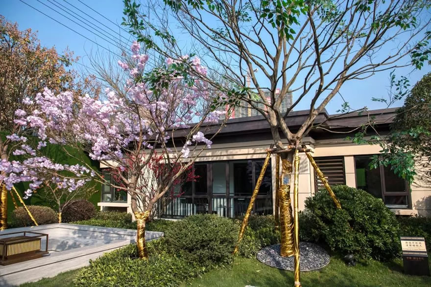 修水财富书院丨中国江西-48