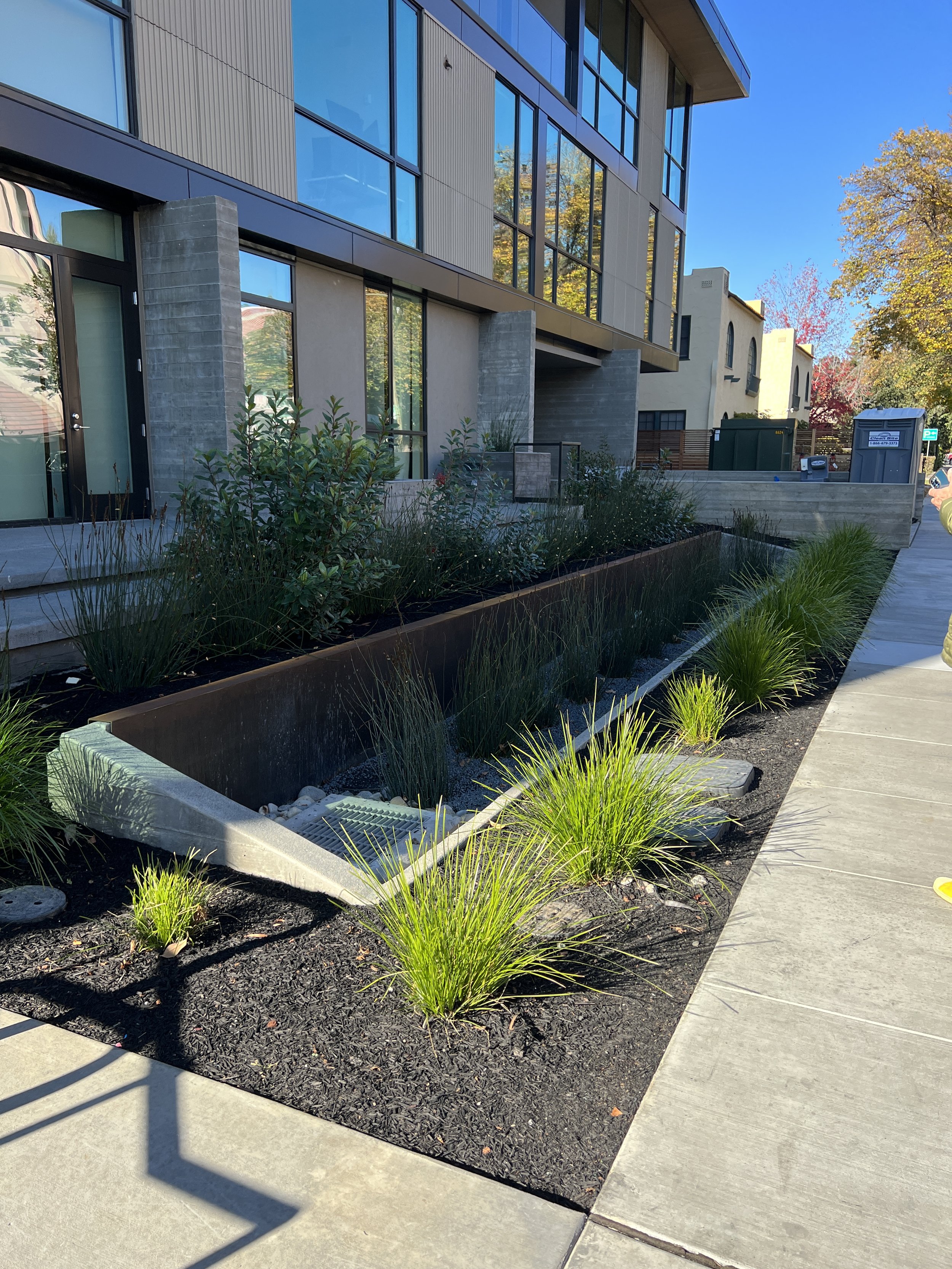 丨美国加利福尼亚-30