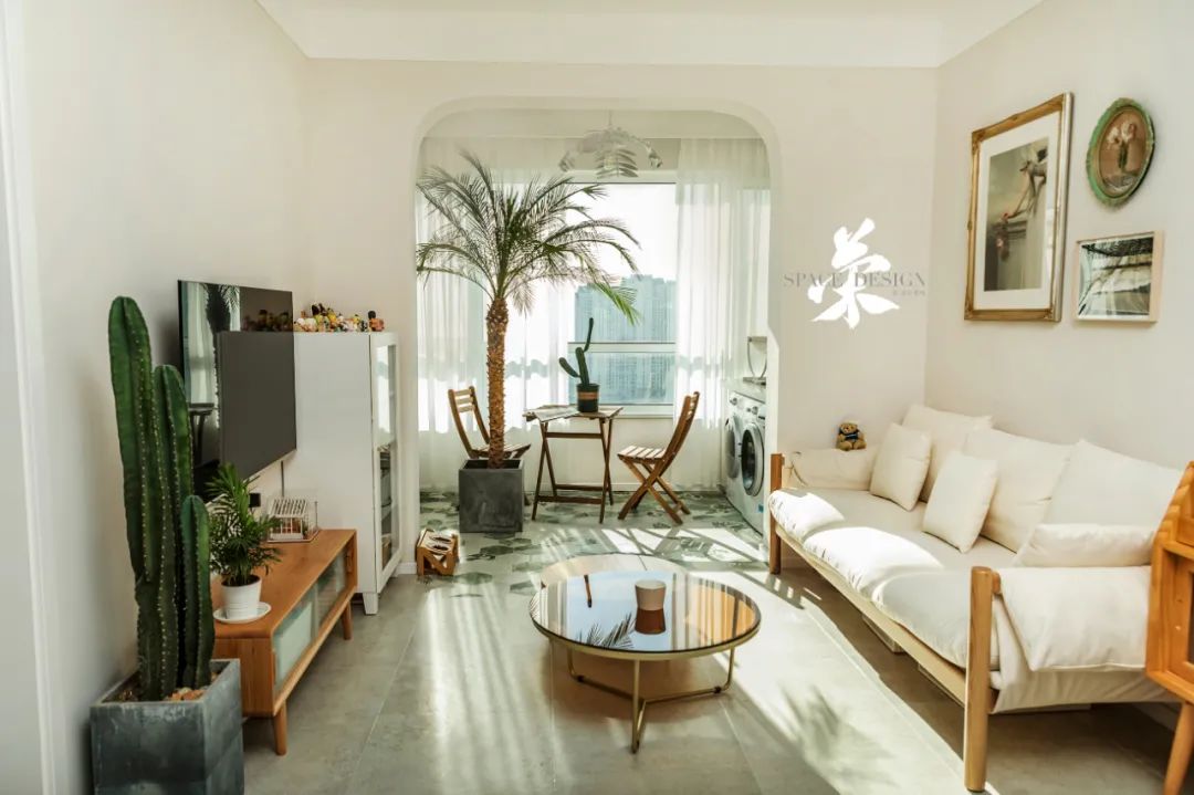 春日猫咪温馨宅 | 设计与生活的完美融合-4