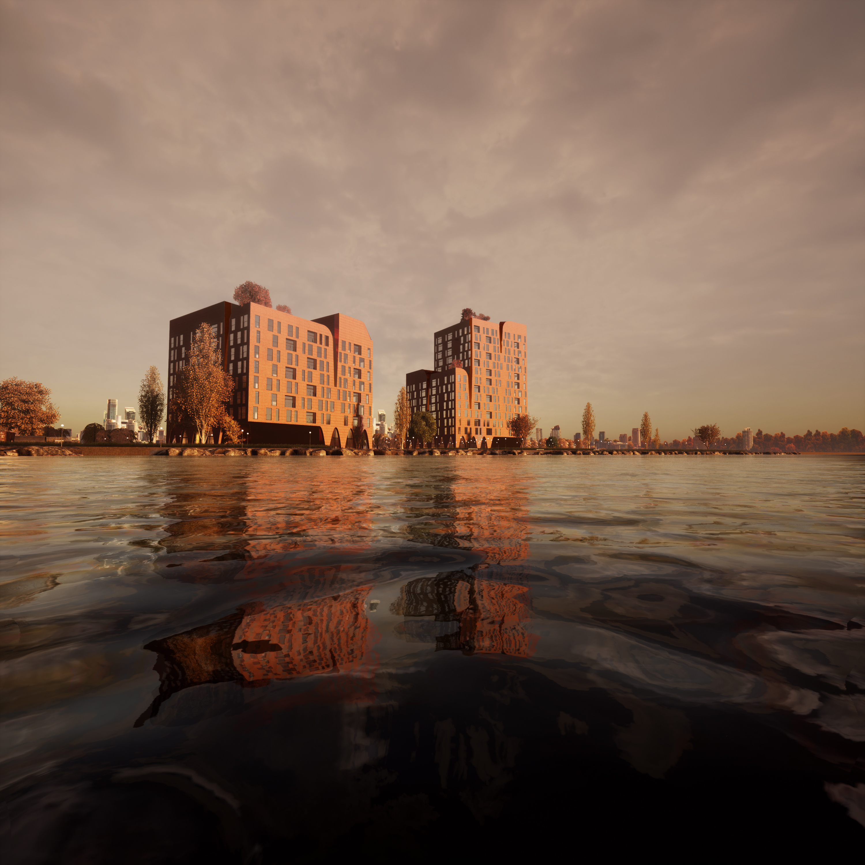 丨新西兰奥克兰-2