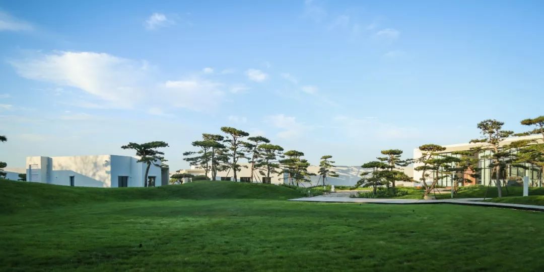 山海关金禧展示区 | 古松奇石，绘就历史画卷-45