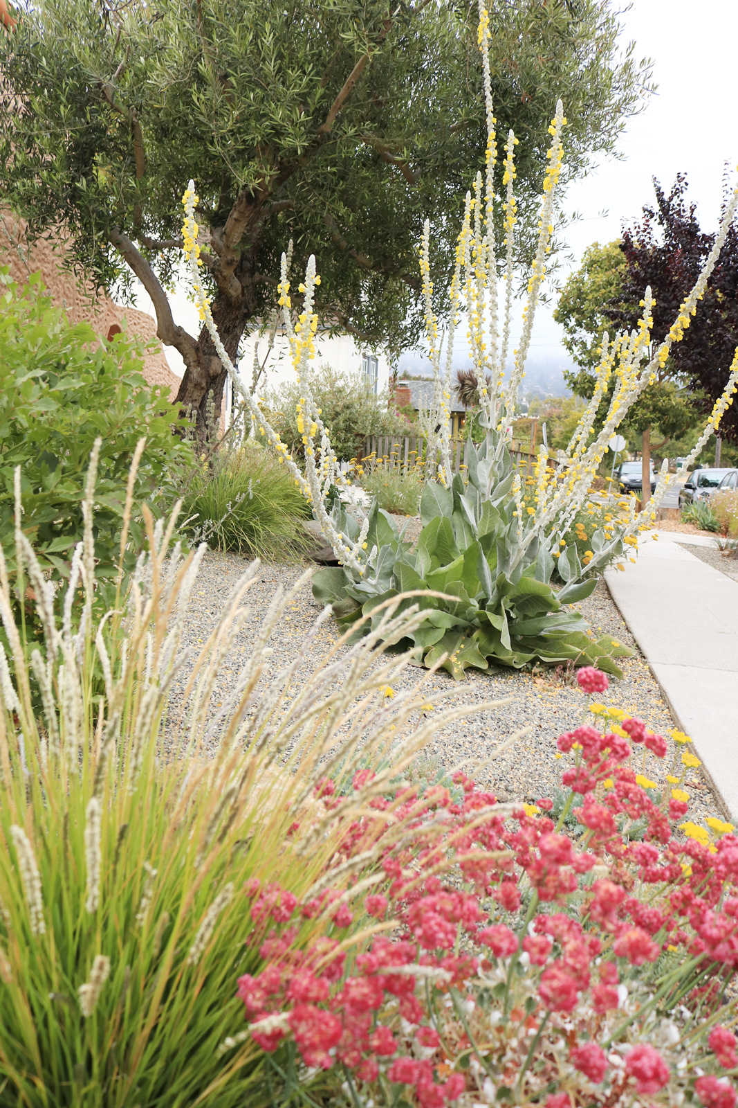 身边风景 | Soft Studio-102