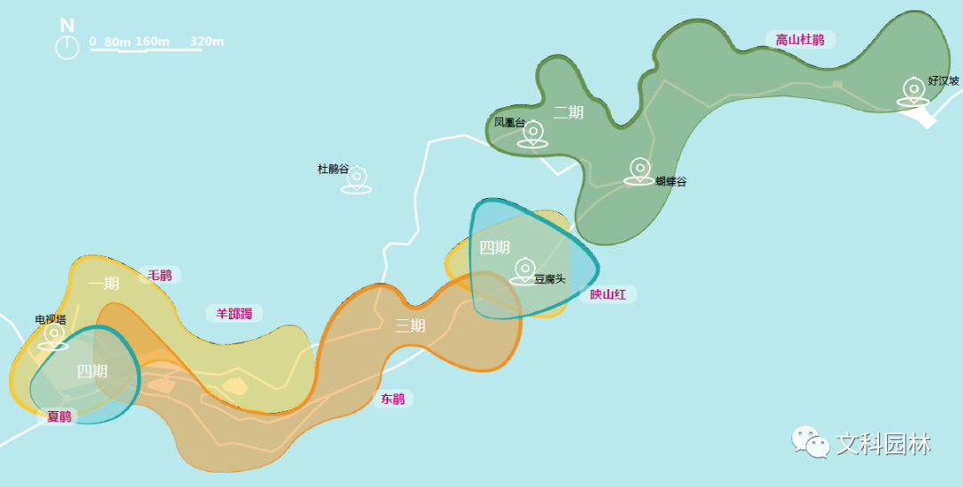 深圳市梧桐山第六届毛棉杜鹃花会景观设计丨中国深圳丨文科园林-22