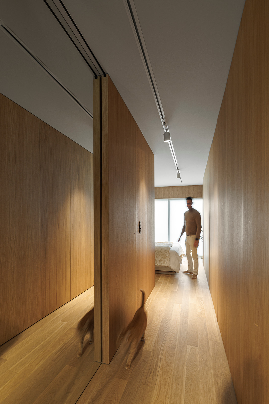 巴拉公寓丨葡萄牙丨Paulo Martins Arquitectura e Design-14