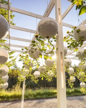 地形工作重力场