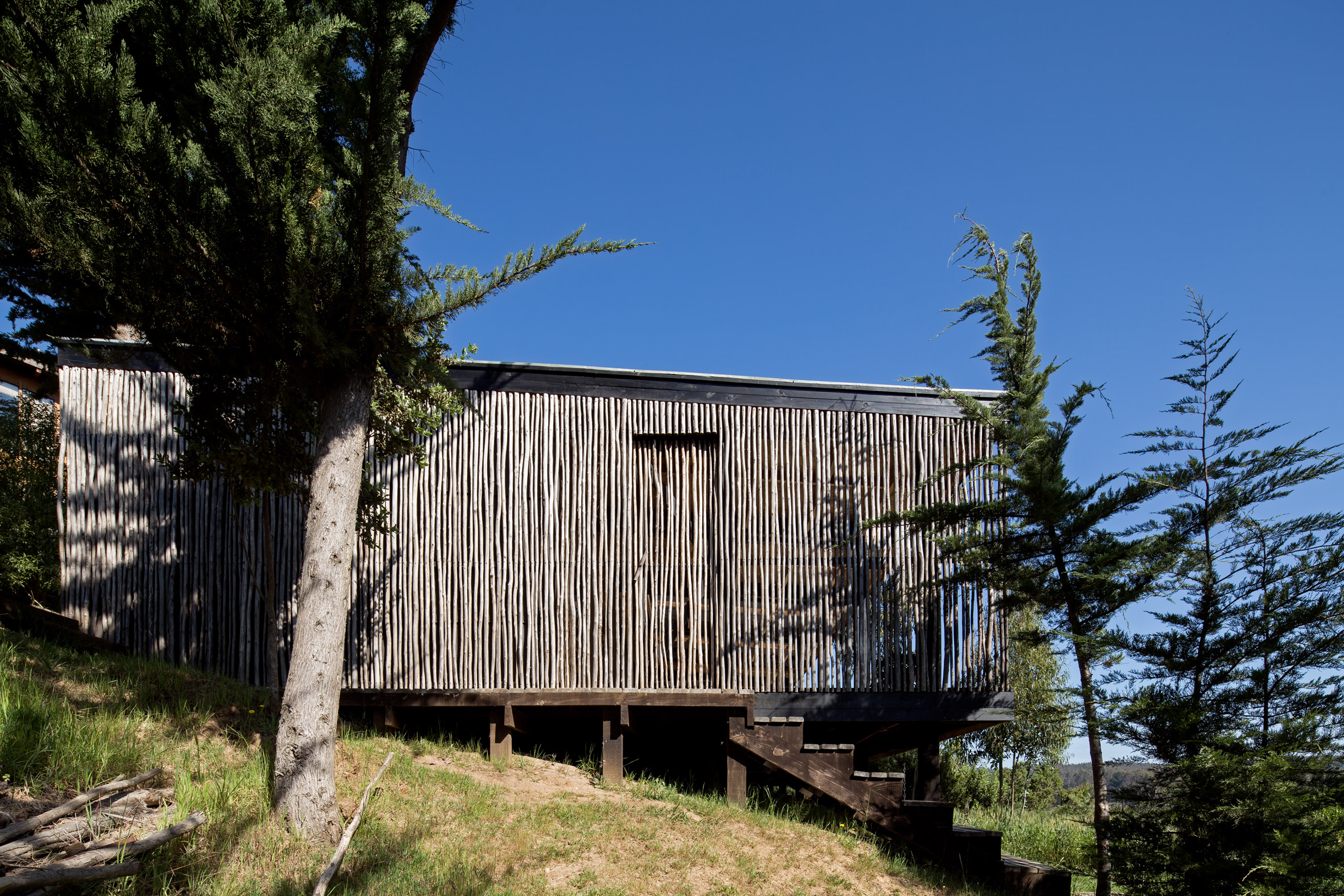 Studio Selva wraps Chilean surfers' retreat in eucalyptus screens-5