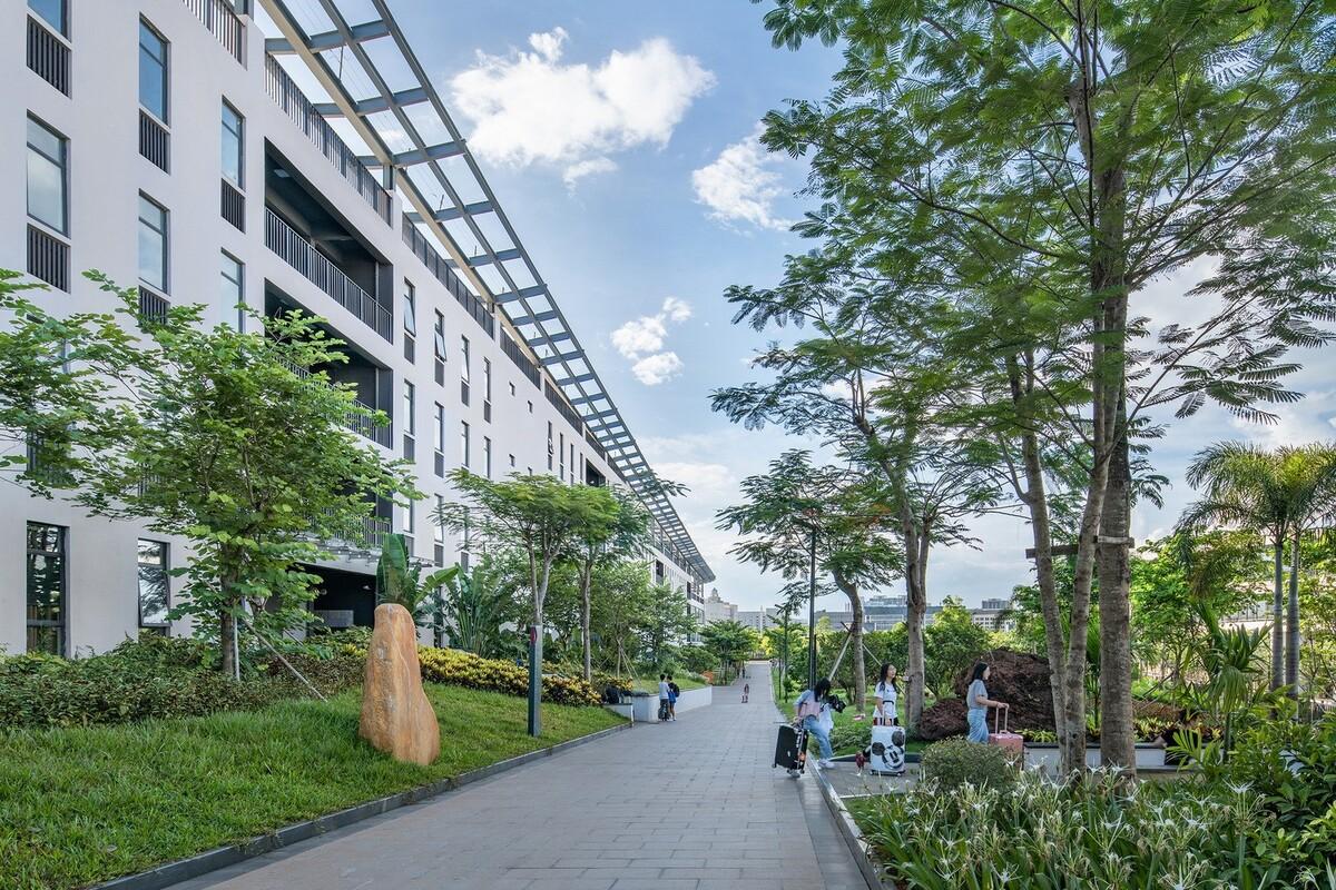 北京大学附属中学海口学校丨中国海口丨Crossboundaries-35