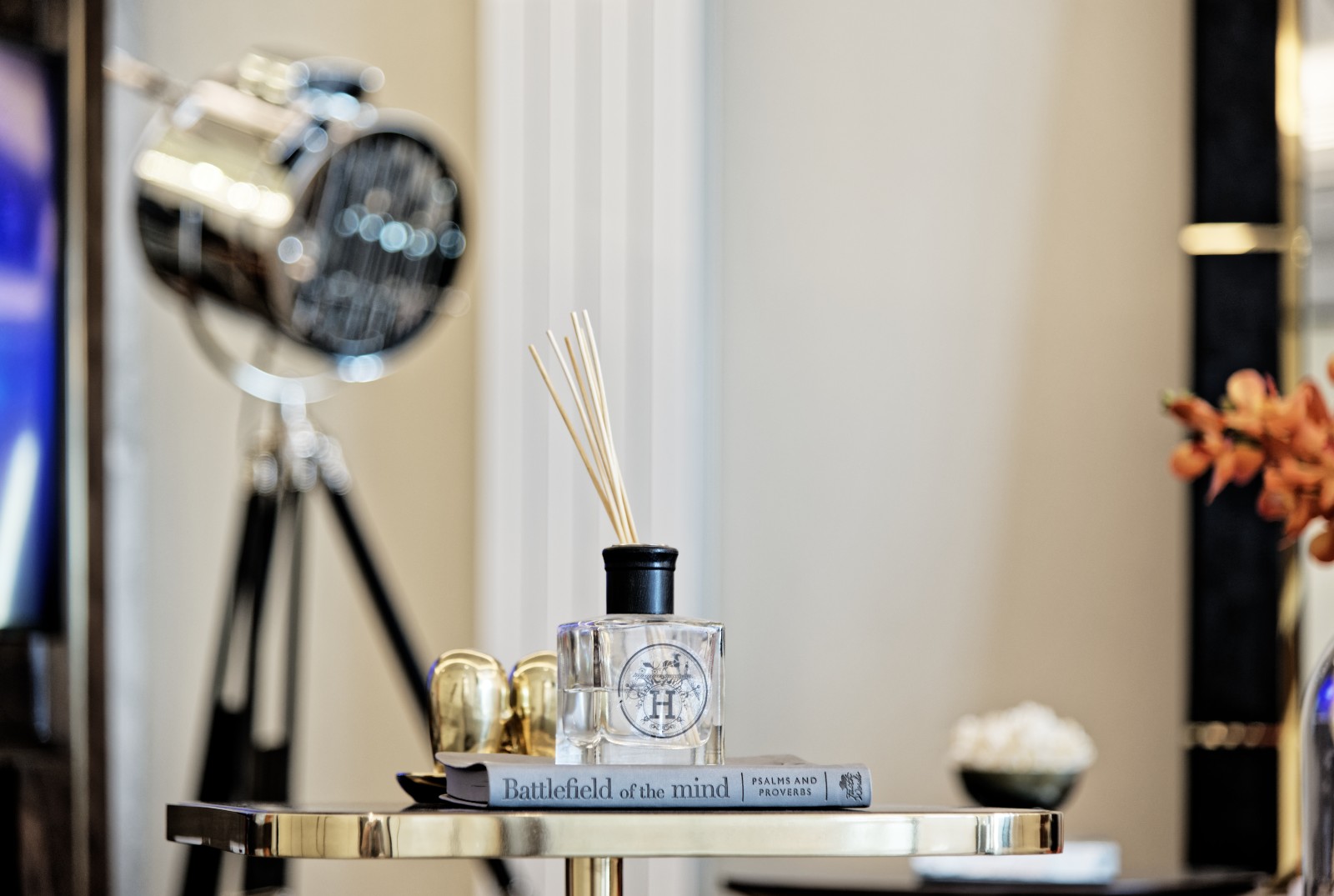 镇江苏宁广场西塔样板房（三套）  黄志达-41