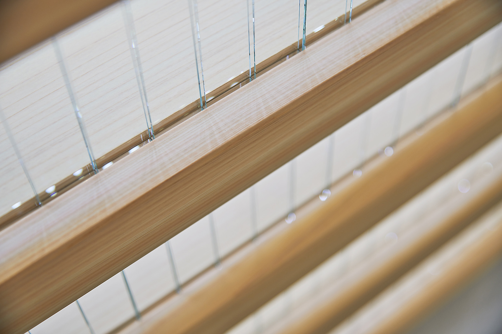 真敬寺藏前陵苑，东京 / naoyamatsumoto design-13