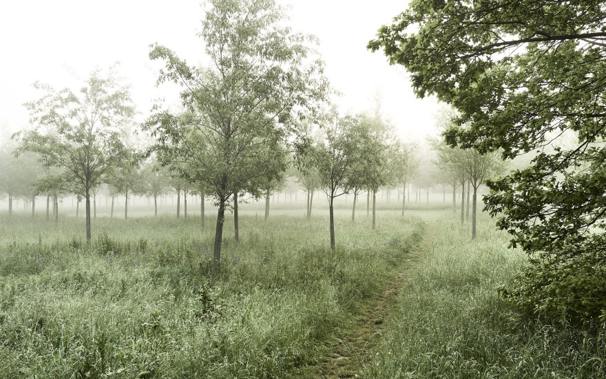 Waiblingen 公园新核心设计丨德国-10