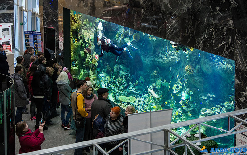 贝尔戈罗德大型海洋水族馆丨Аква Лого инжиниринг-30