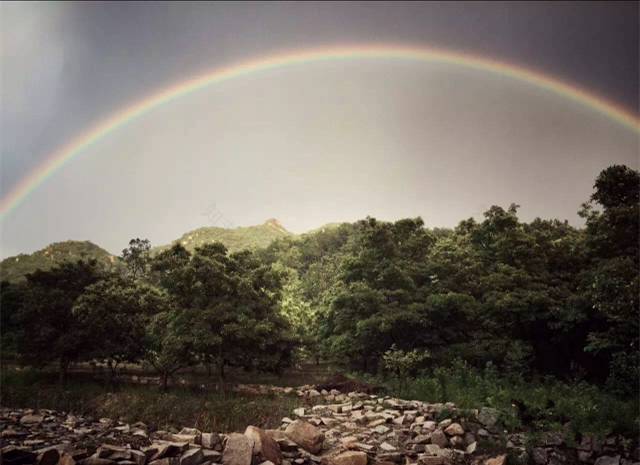 四个老男孩租下2500亩山谷,用集装箱搭出梦想中的家!-85