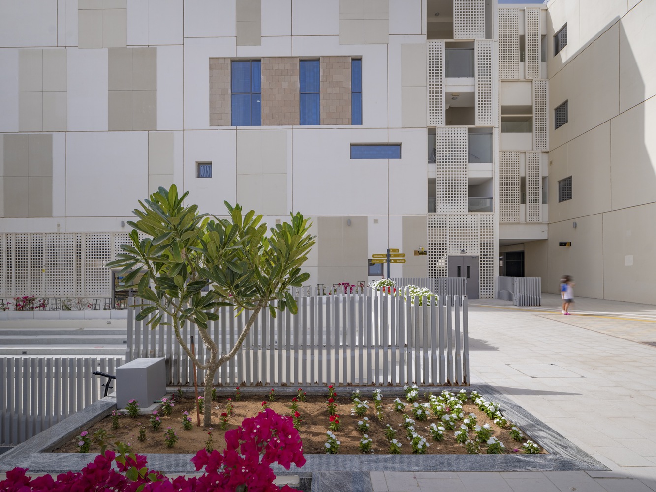 阿拉伯南景学校丨研发工作室-11